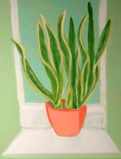 Sanseveria 20 x 16 " (2014)